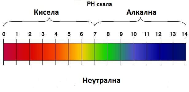 pH skala alkalni kiselinni hrani