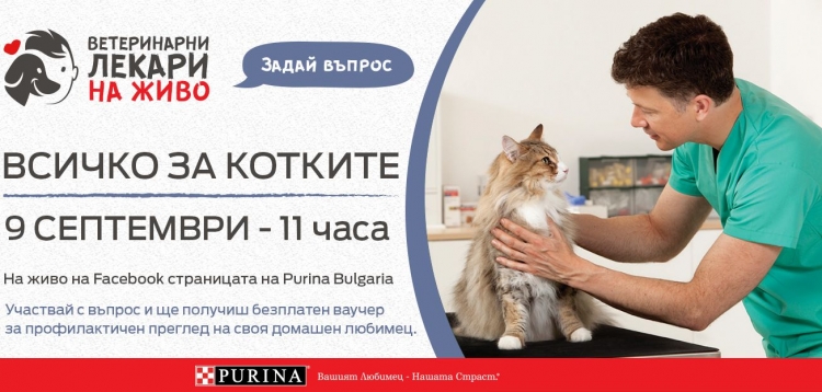 Ветеринарни специалисти консултират котки онлайн