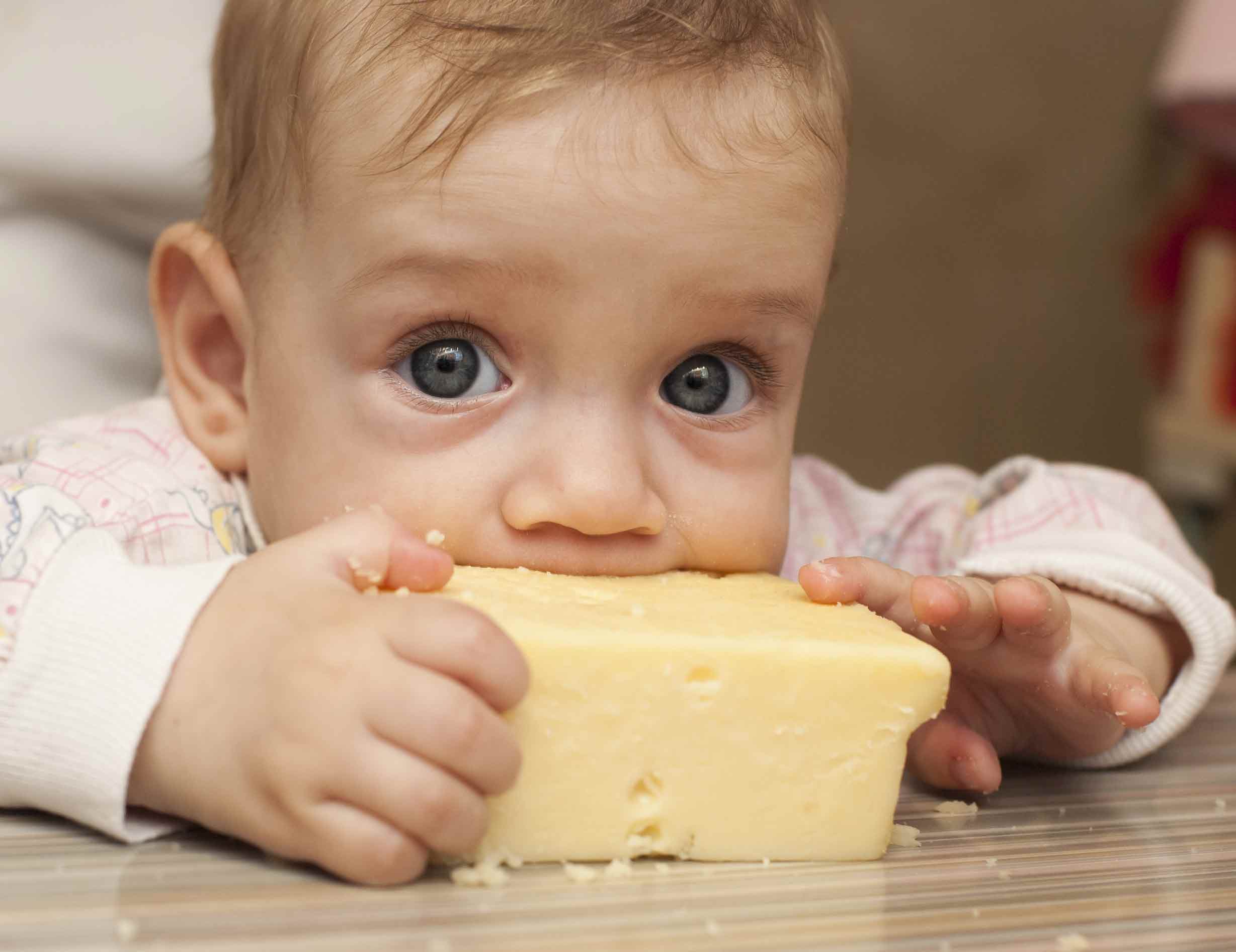 Child Eating Cheese