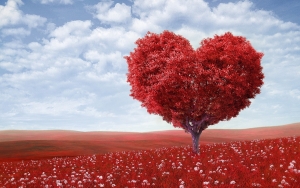 10 идеи за незабравим Свети Валентин